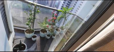 Gallery Cover Image of 1760 Sq.ft 3 BHK Apartment for buy in Paras Dews, Sector 106 for 11000000