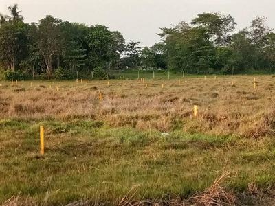 Gallery Cover Image of Sq.ft Residential Plot for buy in Rasapunja for 260000