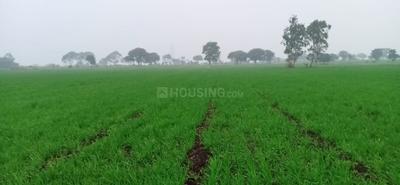 43560 Sq.ft Residential Plot for Sale in Thane East, Thane