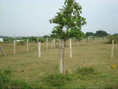 Gallery Cover Image of Sq.ft Residential Plot for buy in Otthakadai for 358000