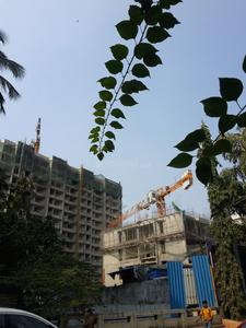 Gallery Cover Image of 1700 Sq.ft 3 BHK Apartment for buy in Vile Parle West for 75000000