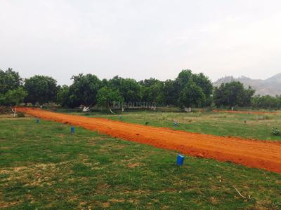 Residential Plot