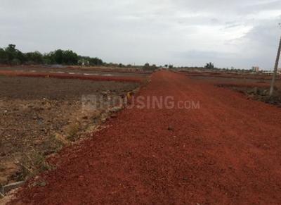 Residential Plot