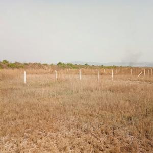 Gallery Cover Image of Sq.ft Residential Plot for buy in Ranjanpada for 400000