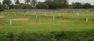 Residential Plot