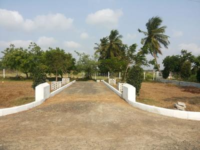 Residential Plot
