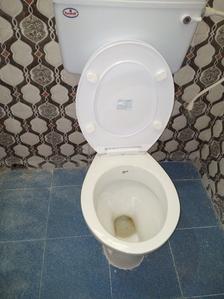 Bathroom Image of Nirala Ladies PG in Garia