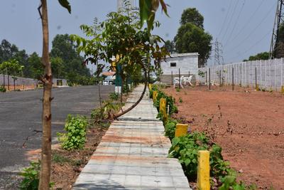 Residential Plot