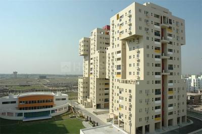 3 BHK Apartment