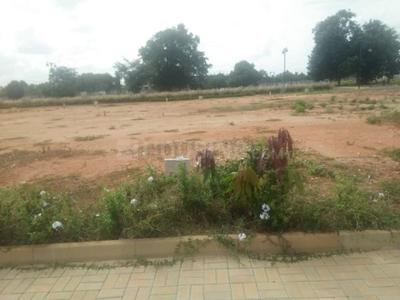 Residential Plot