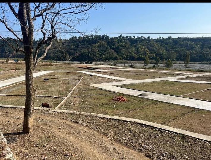 Residential 3600 Sqft Plot for sale at Bhauwala, Dehradun Property ID