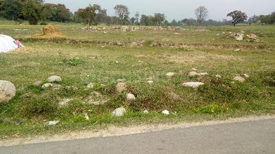5000 Sq.ft Residential Plot for Sale in New Kangra, Kangra
