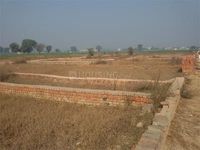 Residential Plot
