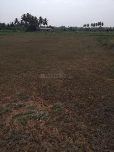Gallery Cover Image of Sq.ft Residential Plot for buy in Kalapatti for 51975000