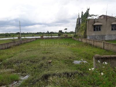 Gallery Cover Image of Sq.ft Residential Plot for buy in Baruipur for 800000