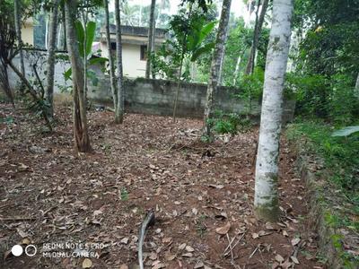 Gallery Cover Image of Sq.ft Residential Plot for buy in Vizhinjam for 9000000