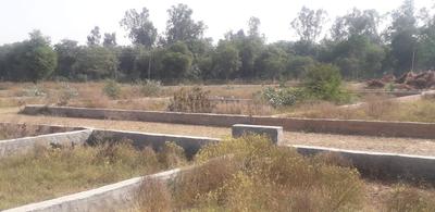 Gallery Cover Image of Sq.ft Residential Plot for buy in Sector 9B for 300000
