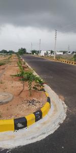 Residential Plot