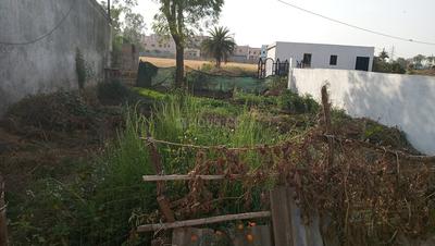 Residential Plot