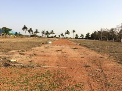 Gallery Cover Image of Sq.ft Residential Plot for buy in Thirunindravur for 369600