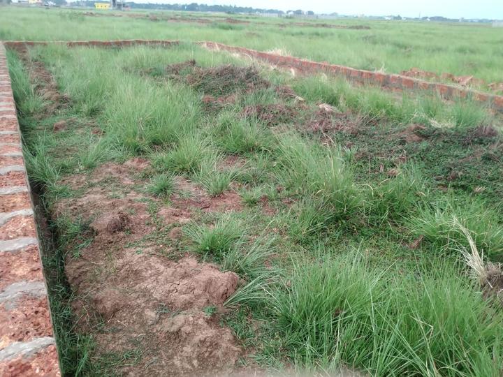 Residential 2000 Sqft Plot for sale at Mancheswar, Bhubaneswar