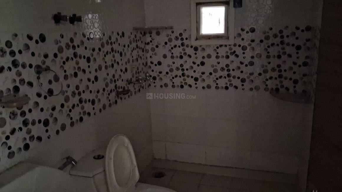 Saya Zion - Image 13