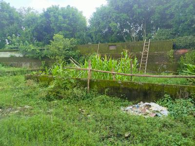 1600 Sq.ft Residential Plot for Sale in Badripur, Dehradun