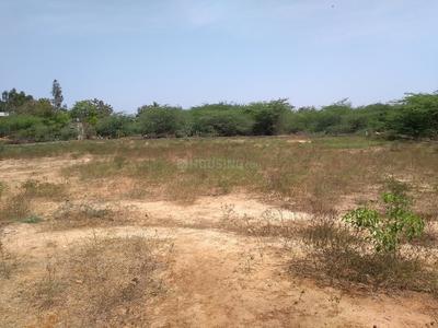 Residential Plot