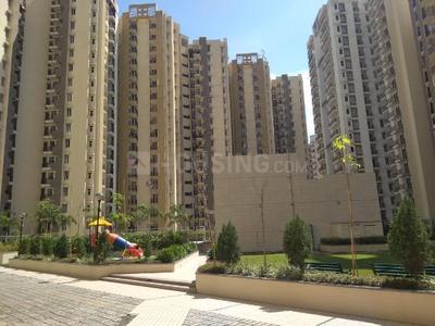 3 BHK Apartment