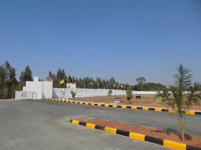 Residential Plot