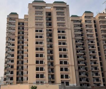 1 BHK Apartment