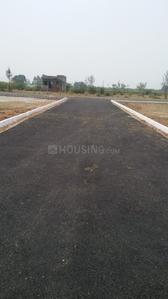 Residential Plot