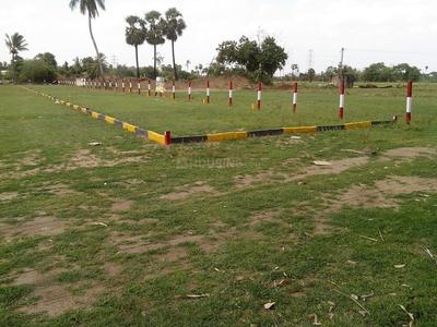 Residential Plot