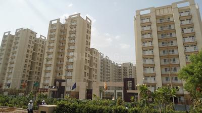 3 BHK Apartment