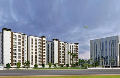 3 BHK Apartment