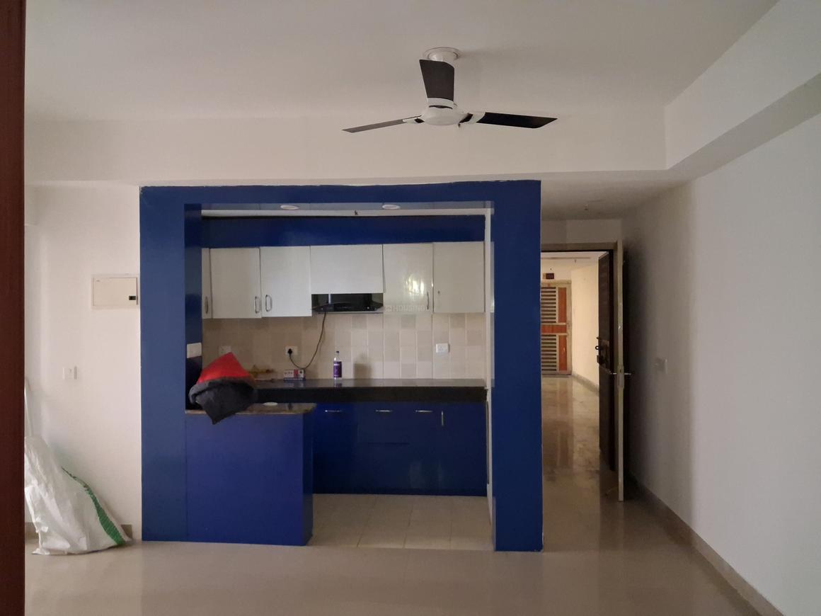 Paras Seasons - Image 6