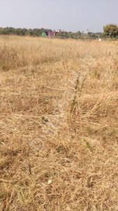 4000 Sq.ft Residential Plot for Sale in Mhow, Indore