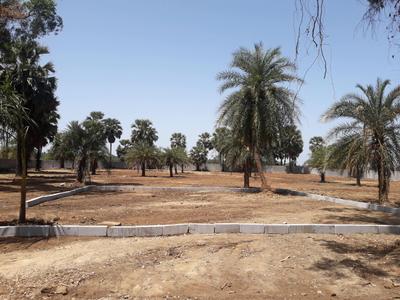 250 Sq.ft Residential Plot for Sale in Vasai West, Mumbai