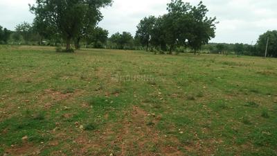 Residential Plot