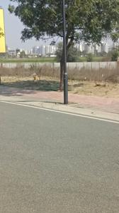 3 BHK Independent Builder Floor