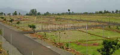 Residential Plot