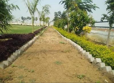 Residential Plot