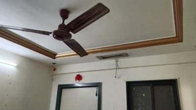 अन्य