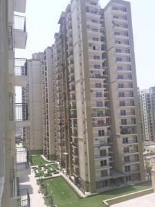 3 BHK Apartment