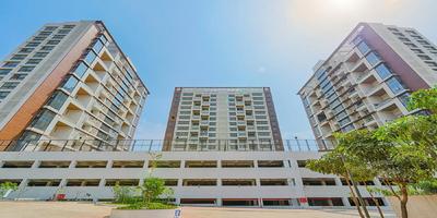 3 BHK Apartment
