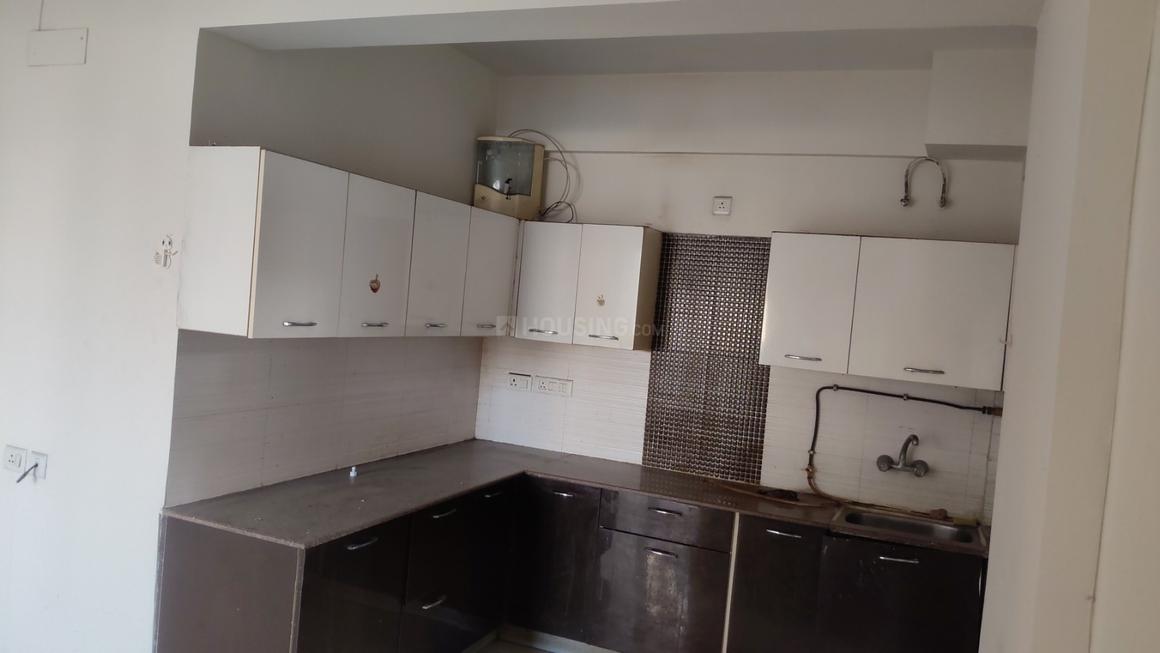 Exotica Dreamville - Image 16