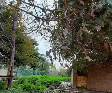 968 Sq.ft Residential Plot for Sale in Govindpuram, Ghaziabad