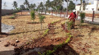 1 BHK Independent House