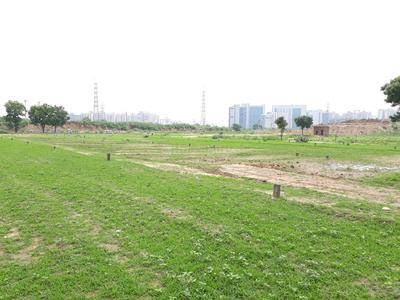 Residential Plot