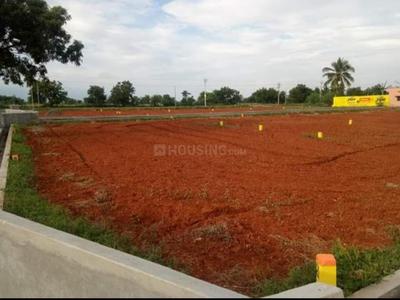 Residential Plot